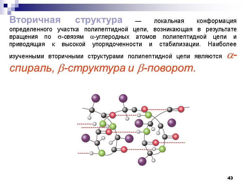 43 Вторичная структура — локальная конформация определенного участка полипептидной цепи, возникающая в результате вращения